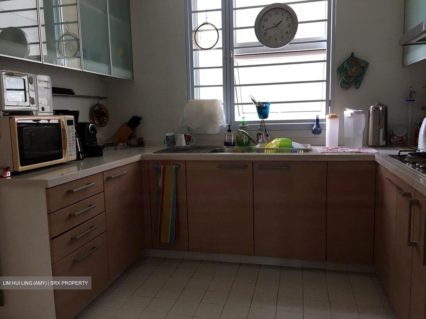 Dahlia Park Condominium (D17), Condominium #560171401
